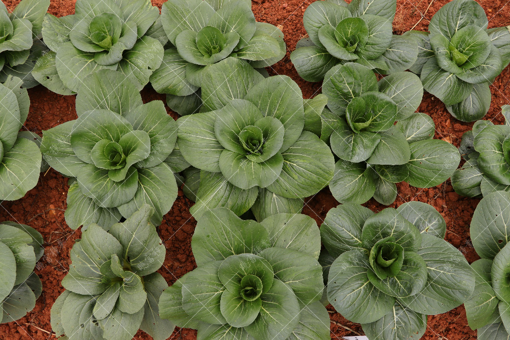 1557812104810628.jpg IMG_4186.jpg