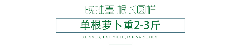 1585788873301422.jpg 07.jpg