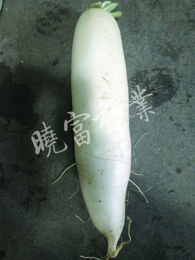 1585788878736862.jpg 08.jpg