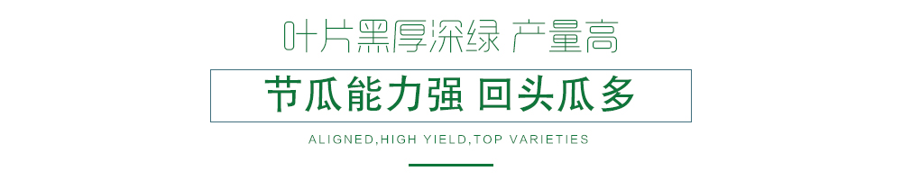 1585989903568253.jpg 07.jpg