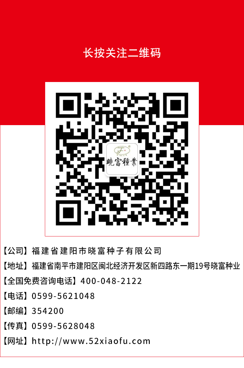 1600247163136620.jpg 頁底.jpg