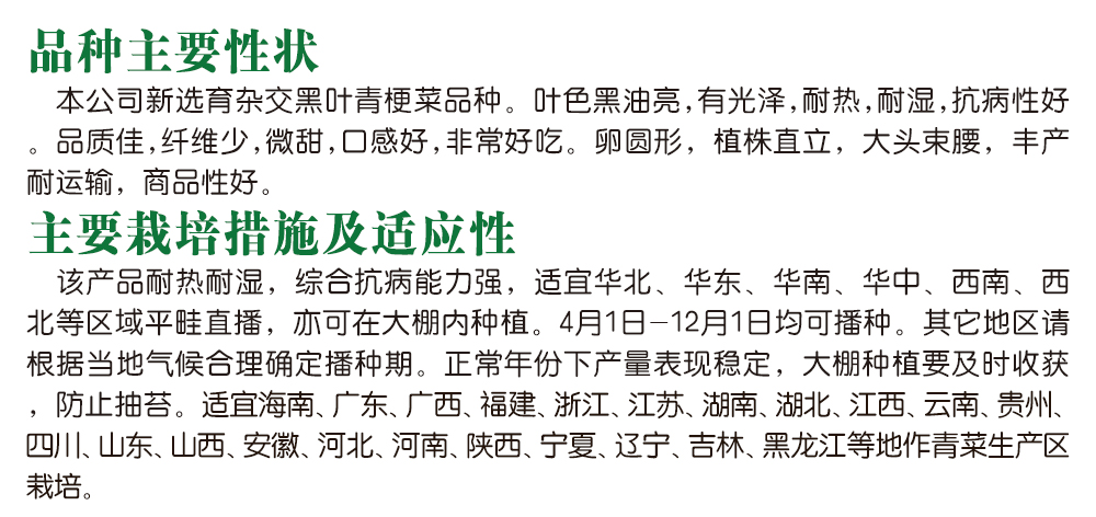 1600249574438886.jpg 10.jpg