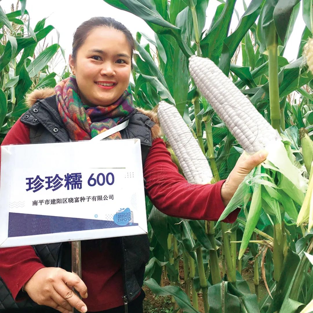 1646191129199331.jpg 04.jpg